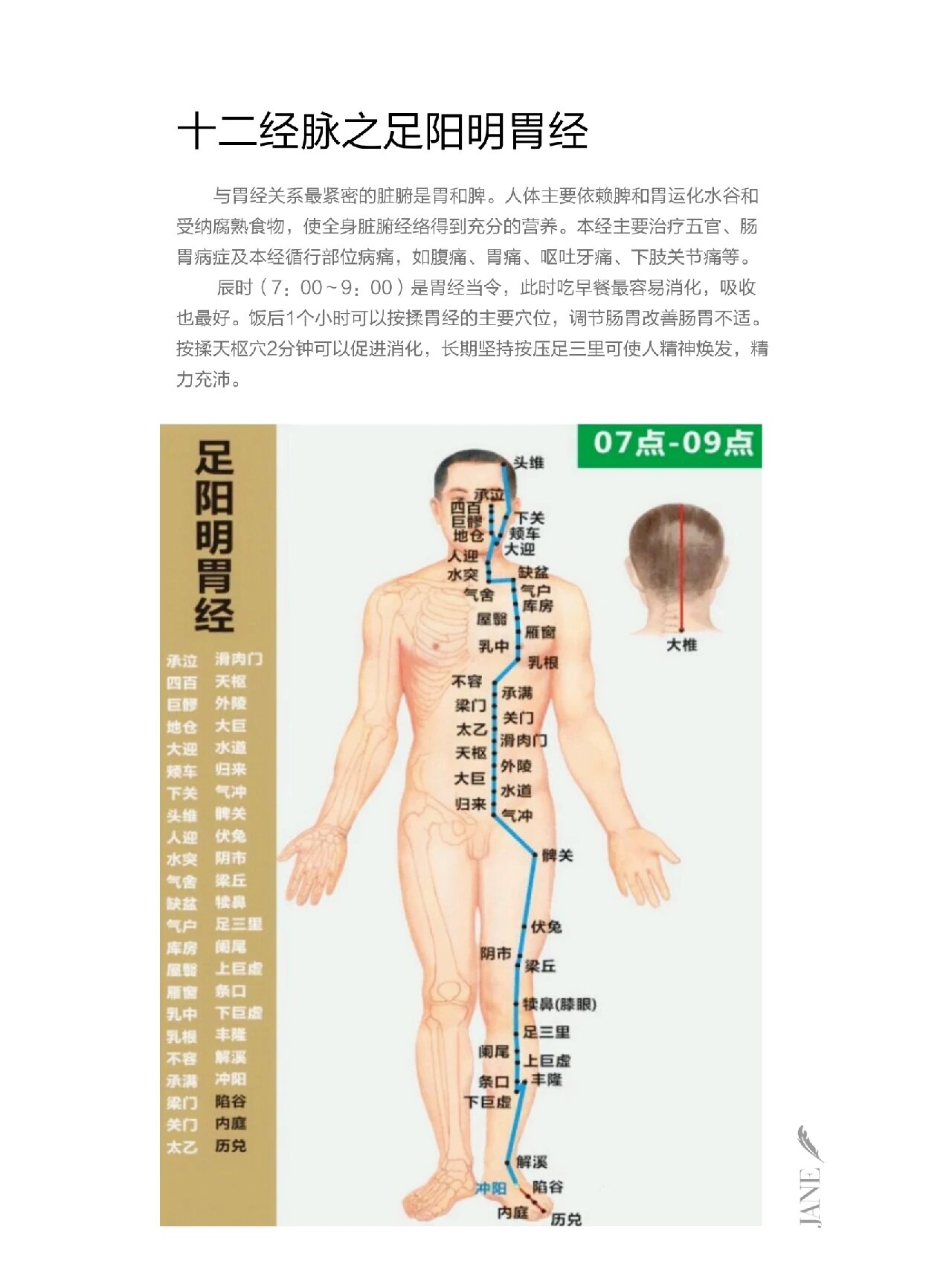 《十二经脉之足阳明胃经》