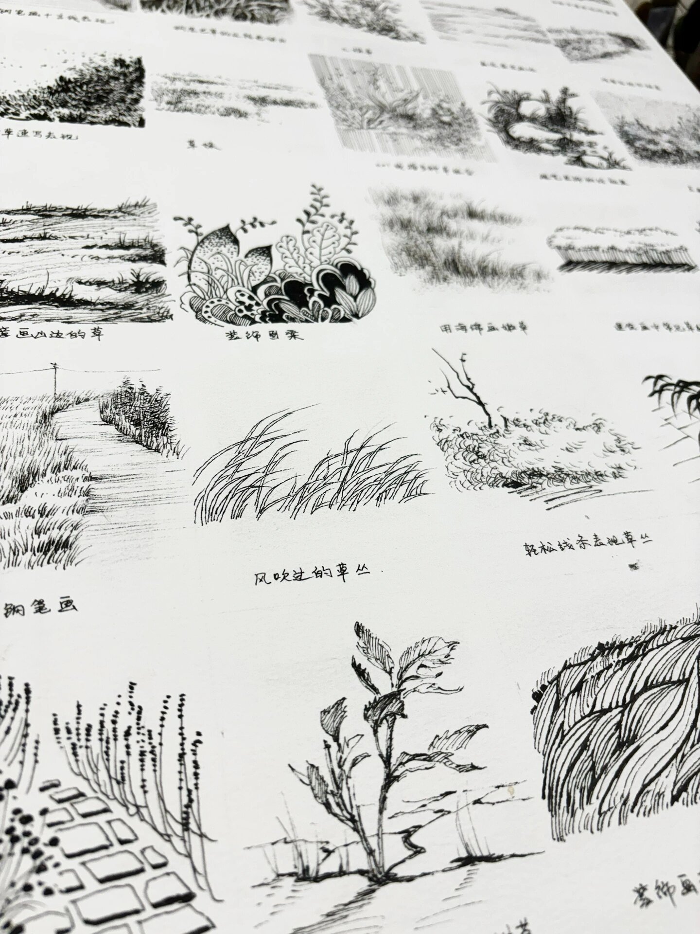 风景速写中草丛的30种画法