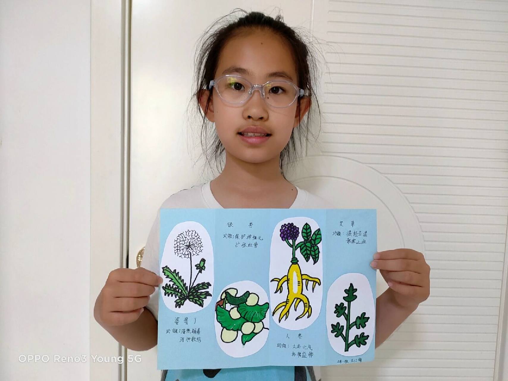 中草药 绘画 手抄报