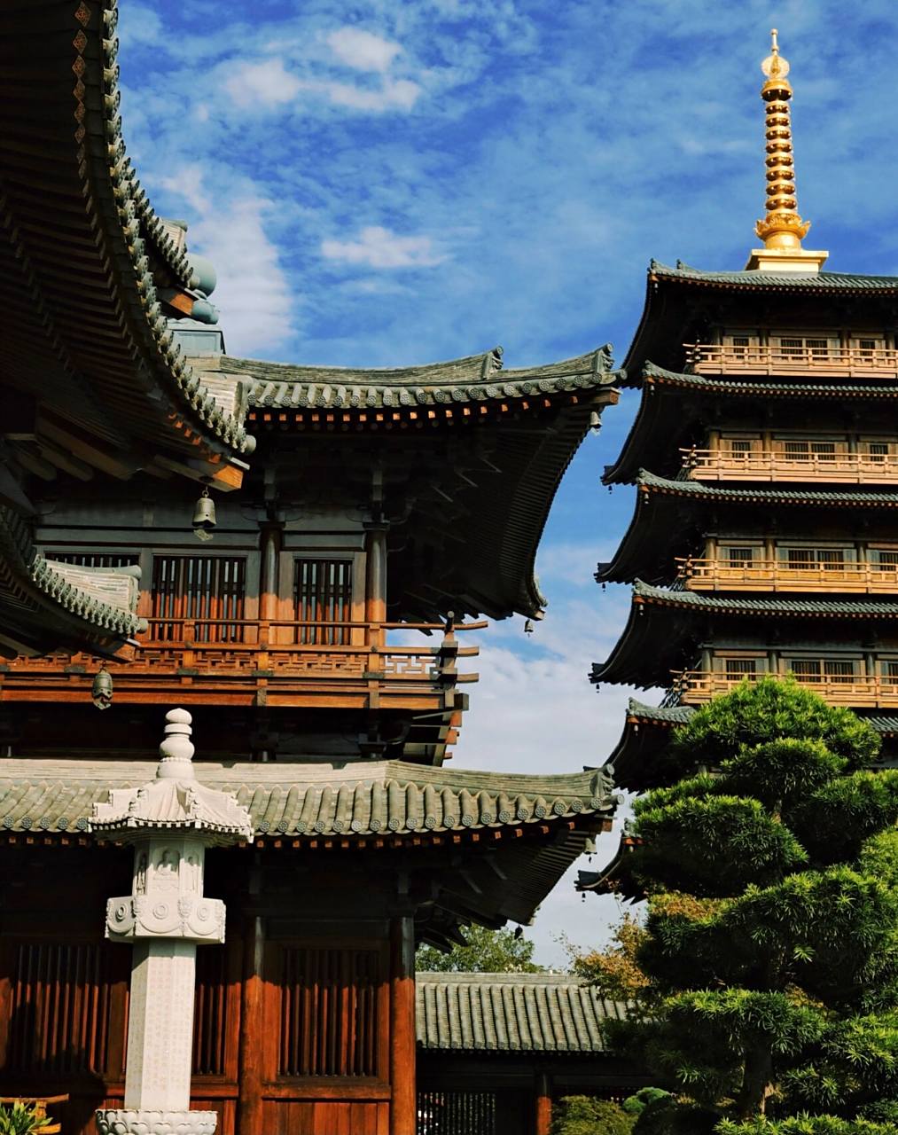 上海宝山寺|目前中国唯一获得鲁班奖的寺庙 99地址:上海市宝山区