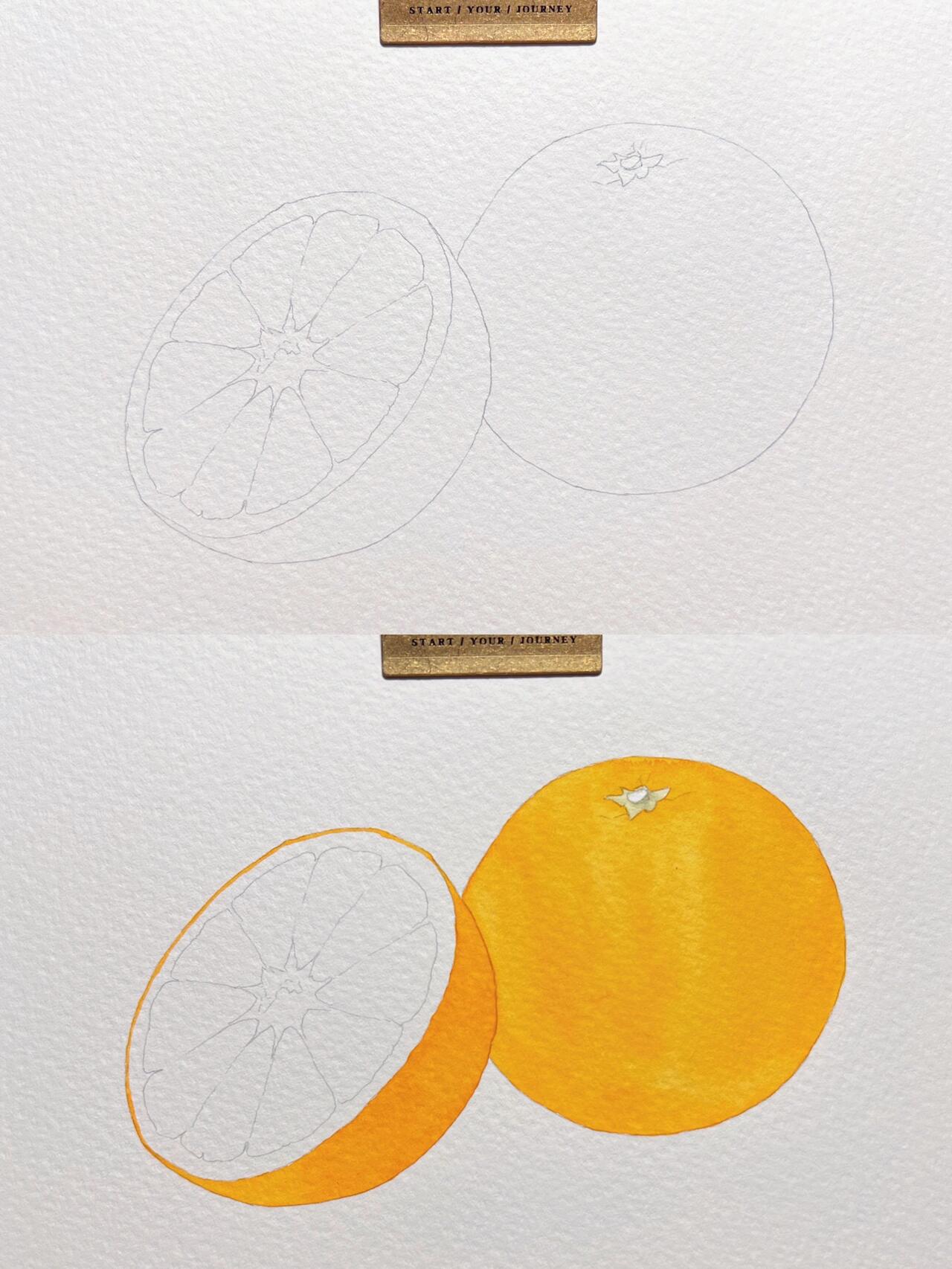 水彩|手绘橙子|带步骤图