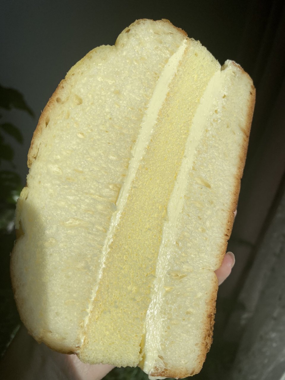 面包夹蛋糕77老奶油 儿时最喜欢的小天使面包 小天使面包一共4部分