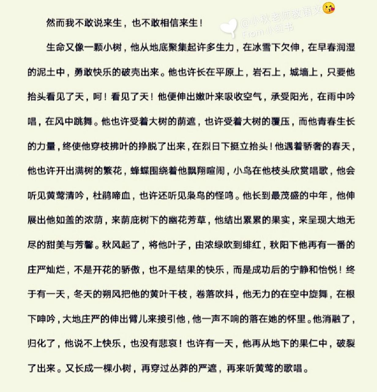 美文分享:冰心《谈生命》 95从古至今,关于生命的思考从未停止,[爱