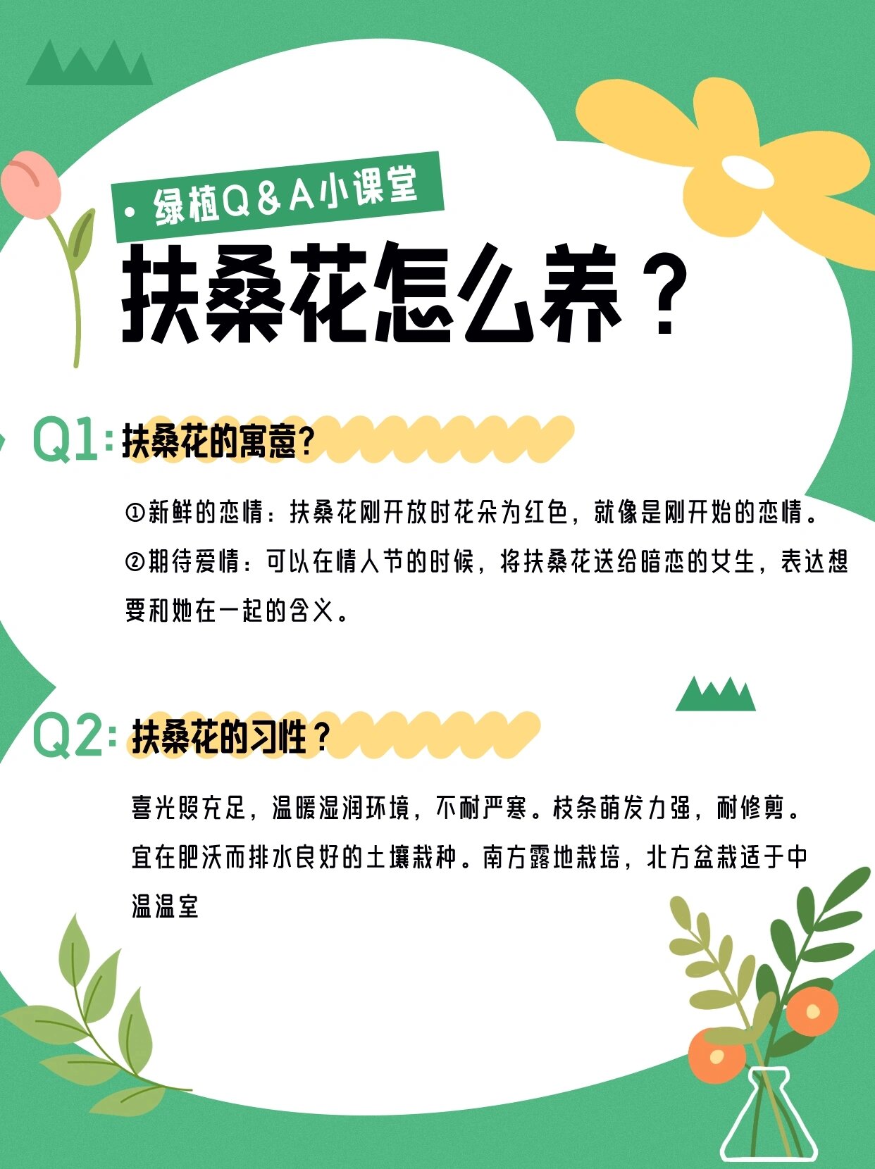 盆栽朱槿花修剪方法图片