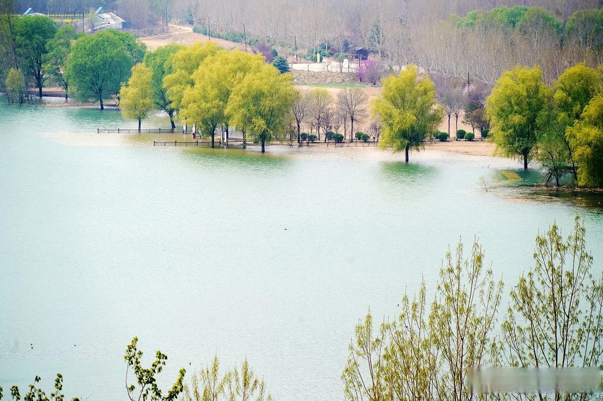 三灣春色.攝於山西省平陸縣三灣天鵝湖.