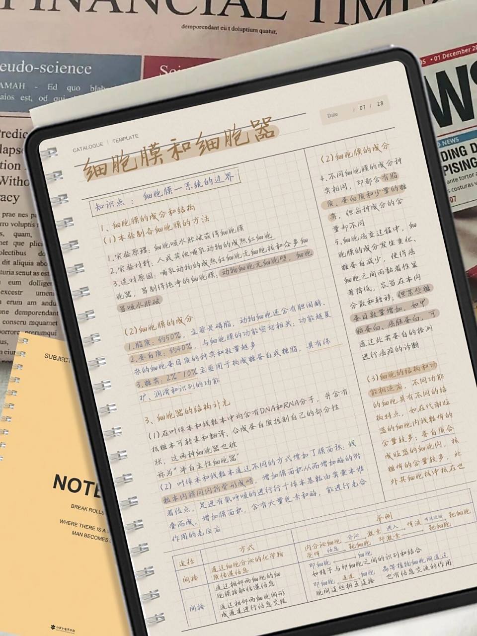 限免丨a4电子笔记模板丨ipad康奈尔电子手帐 96模板丨小萝卜电子