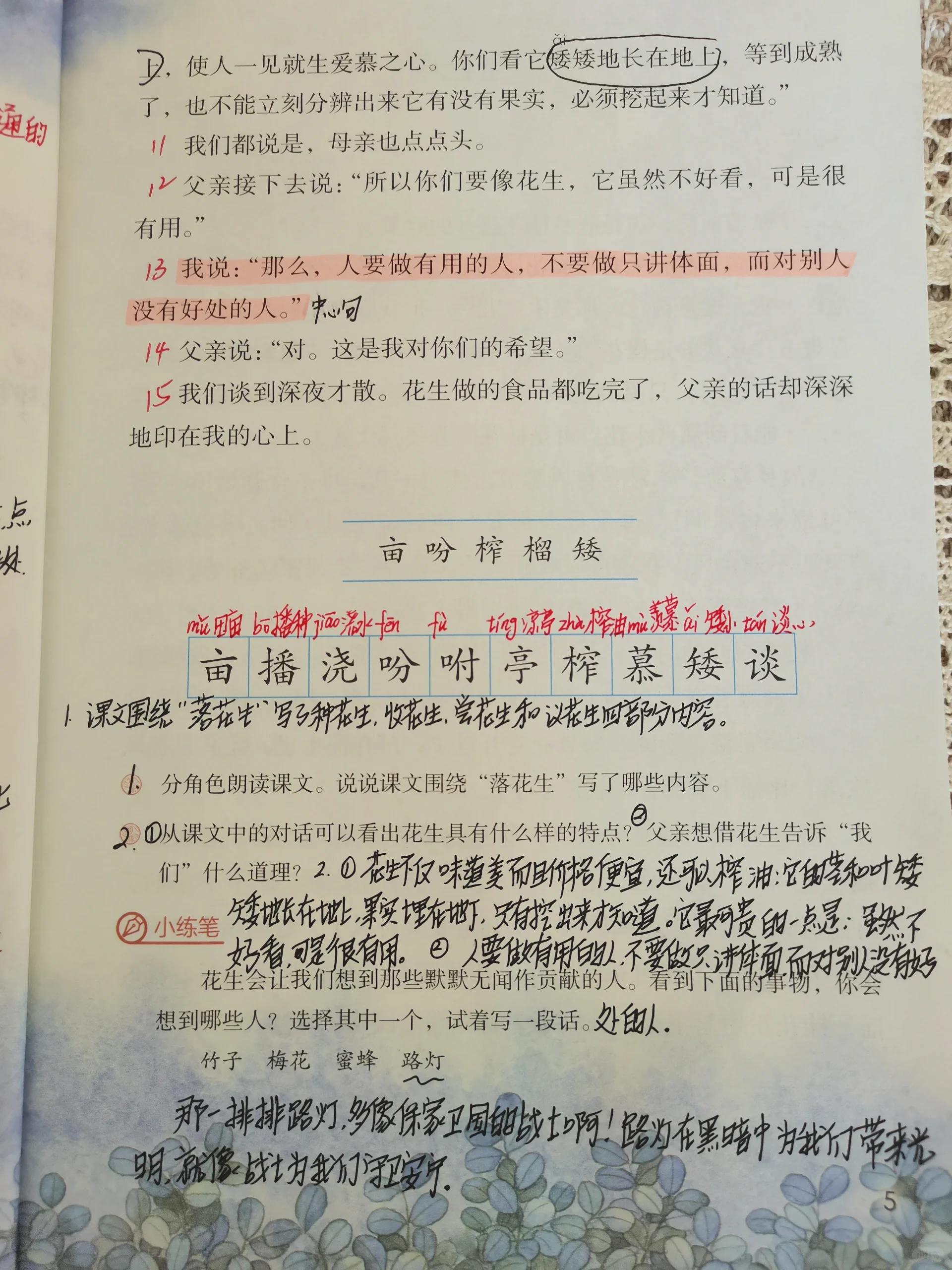 部编版|语文|五上 2.落花生