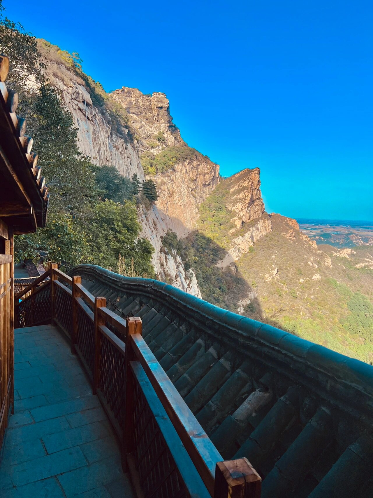 锦州北镇青岩寺 歪脖老母
