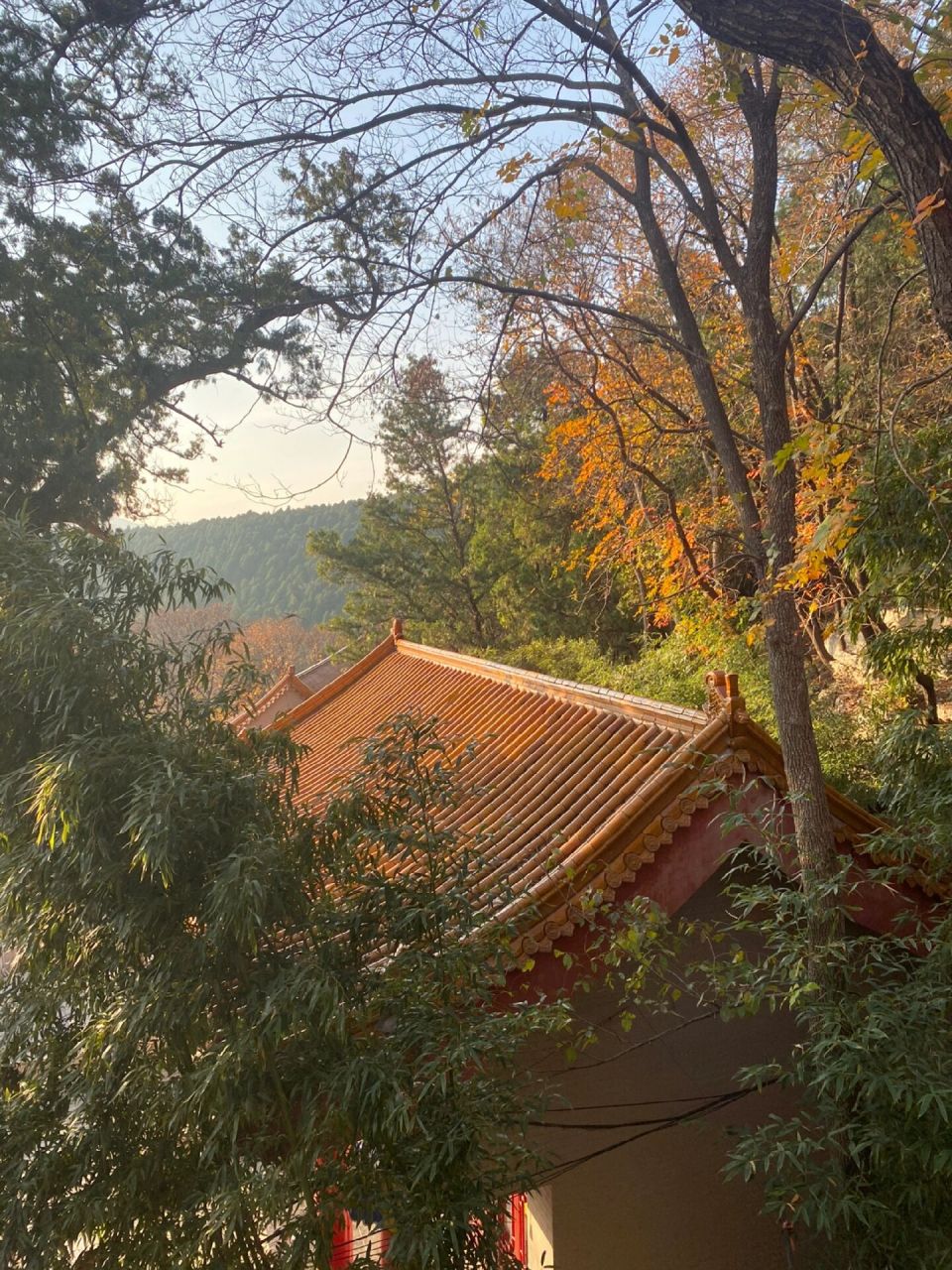 义净寺 义净寺位于济南市长清区,分老寺和新寺.