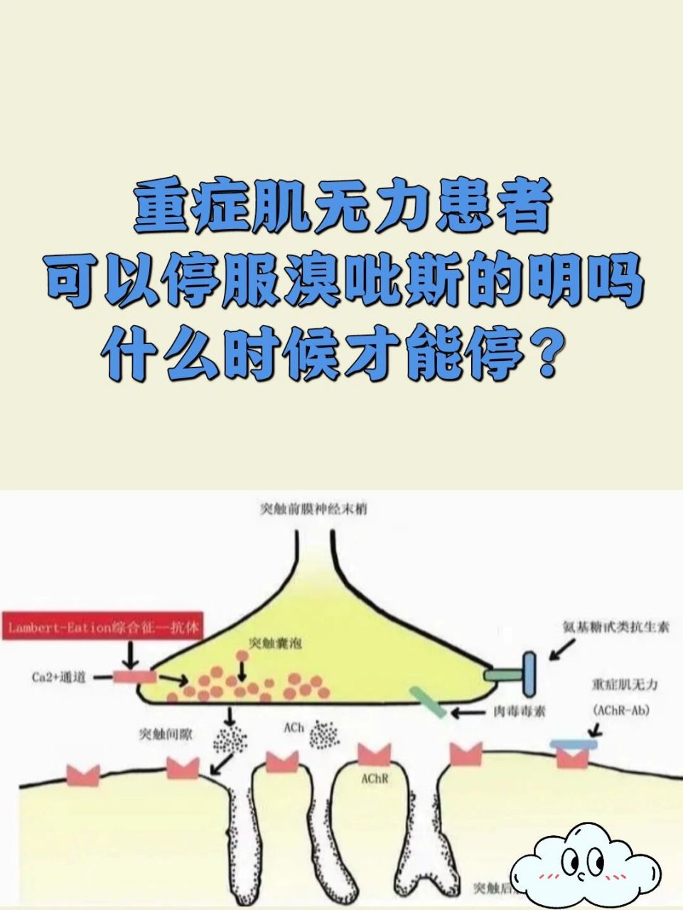 重症肌无力患者可以停服小明吗?