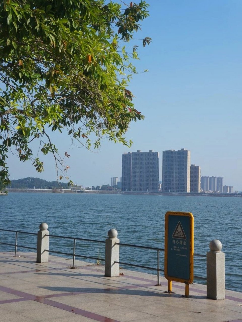 93阳江鸳鸯湖公园你不知道的秋景 你不知道鸳鸯湖公园秋天的景色有