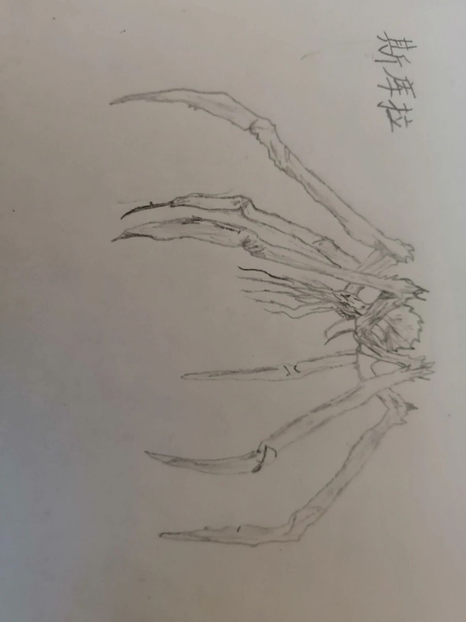 哥斯拉电影怪兽手绘 白天因为比较忙所以没来得及更新,所以只能到晚上