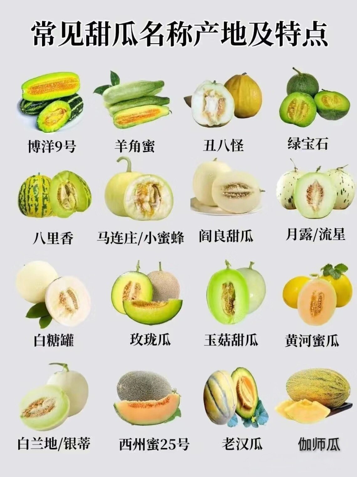 常见甜瓜名称产地及特点表