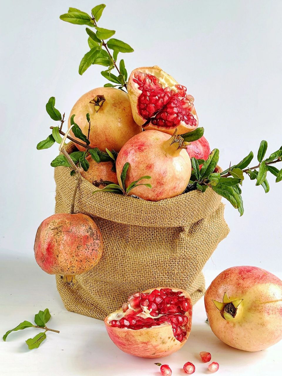 1000张美术生静物素描合集分享 | 石榴 多子多福