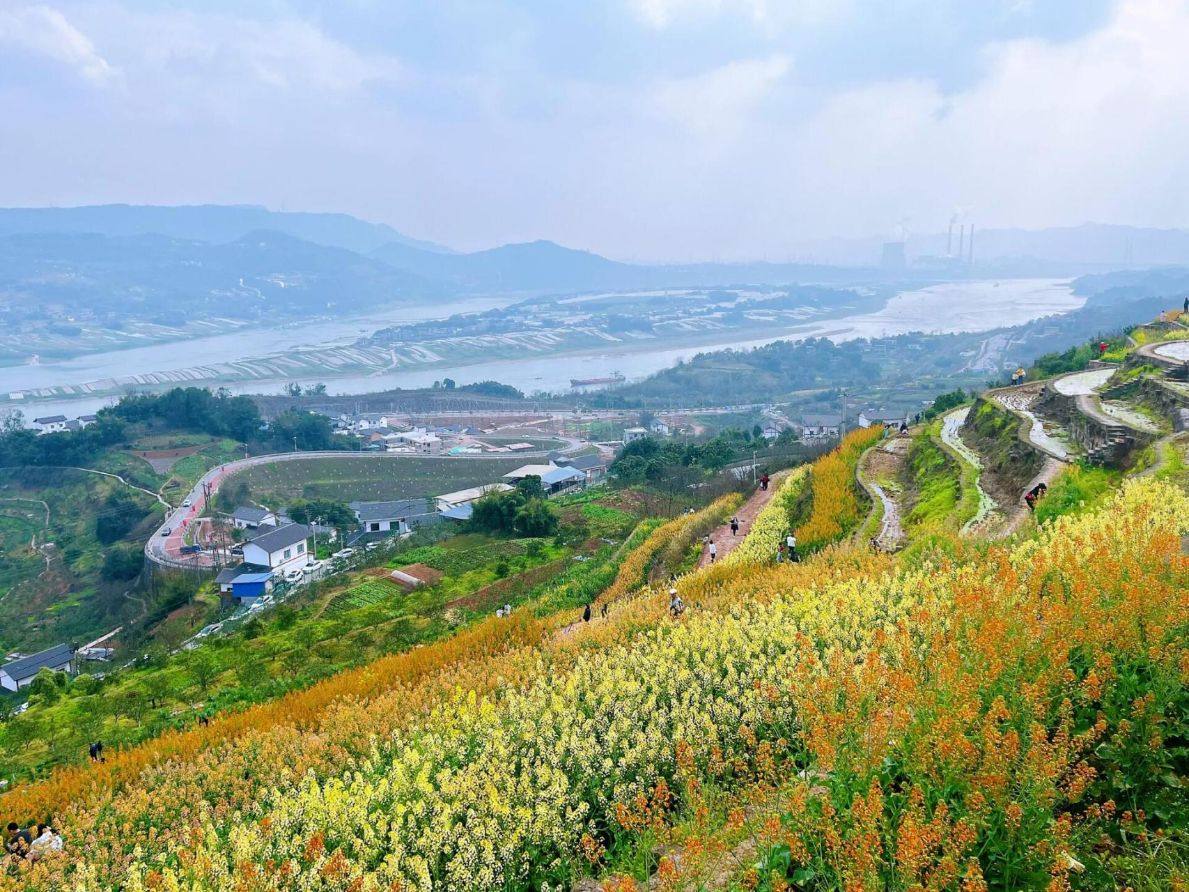 重庆大渡口金鳌山图片