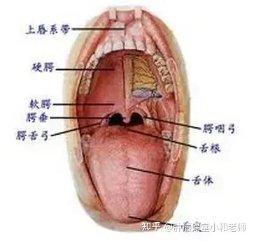 软腭癌早期症状图片