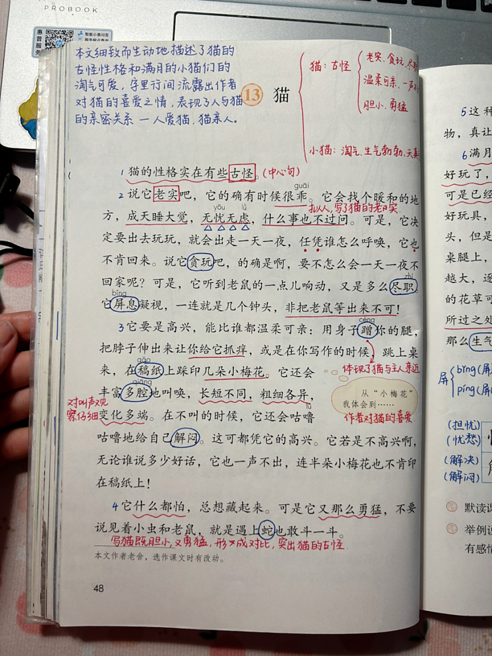 四下语文课堂笔记|第13课 猫 #小学语文# #小学语文课堂笔记# #语文