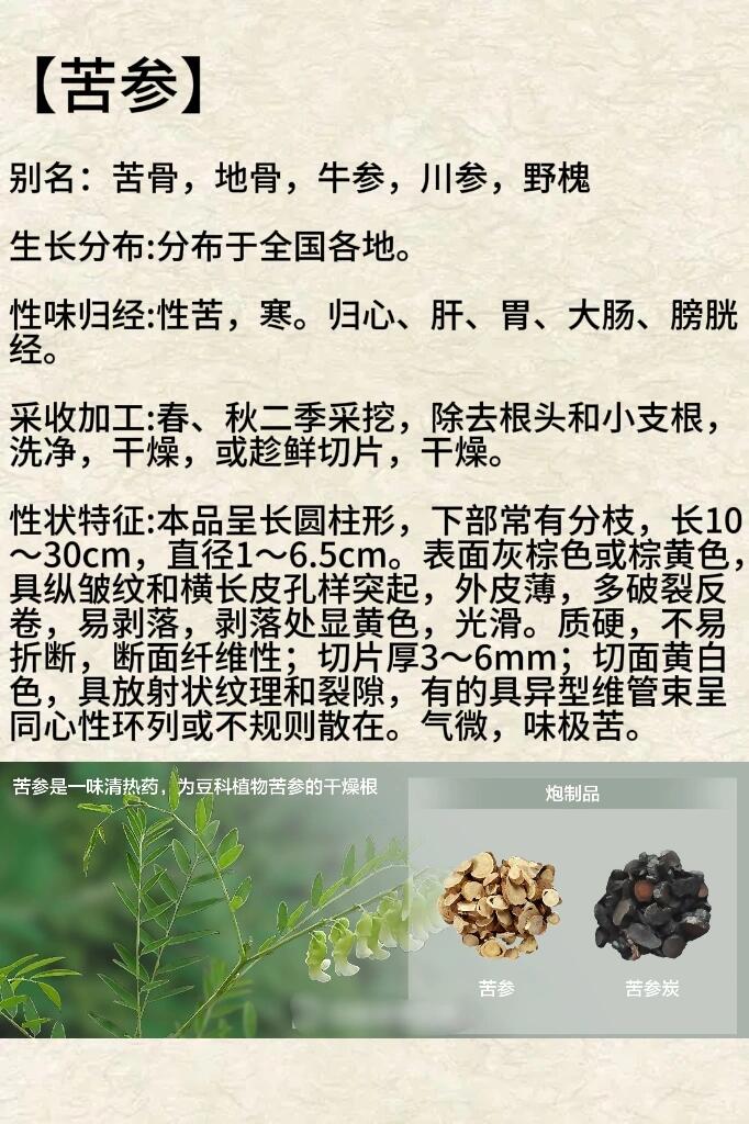 苦刺功效图片