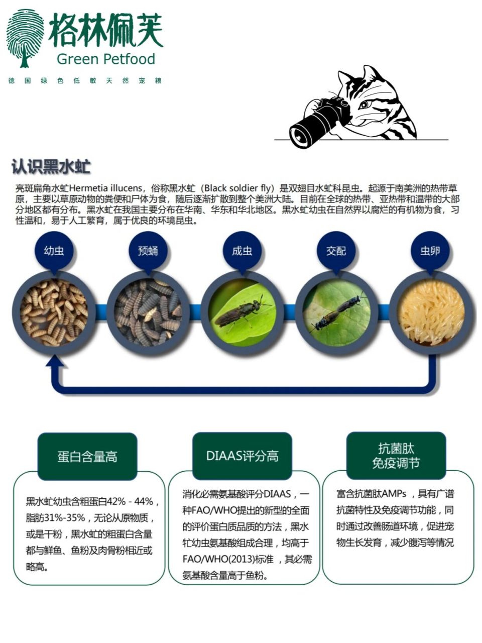 黑水虻幼虫91|营养价值和长相"不符" 最近97起来的昆虫蛋白狗粮