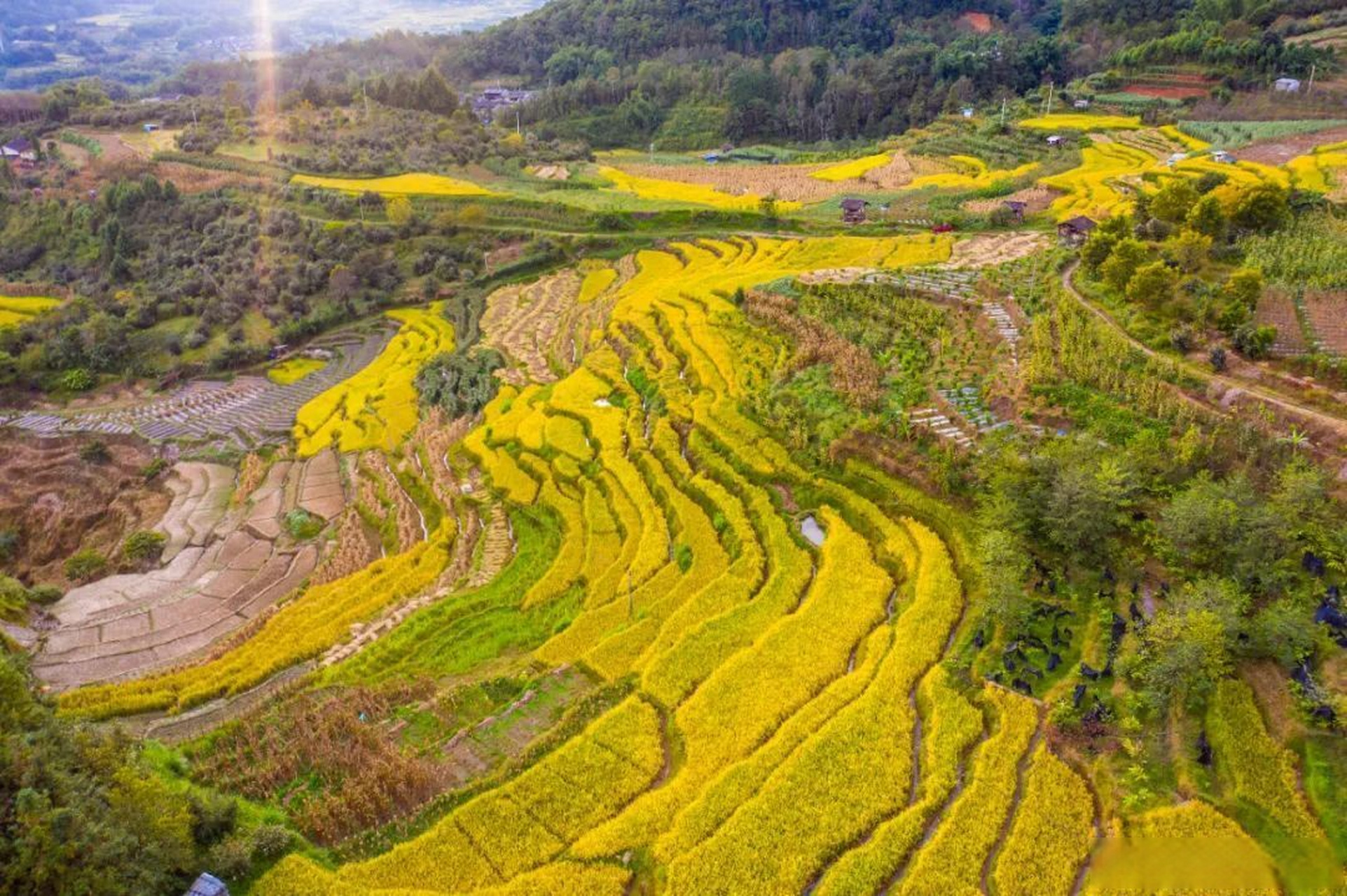 有料就报 【云南腾冲:9月乡村的浪漫】9月的云南保山腾冲,从空中俯瞰