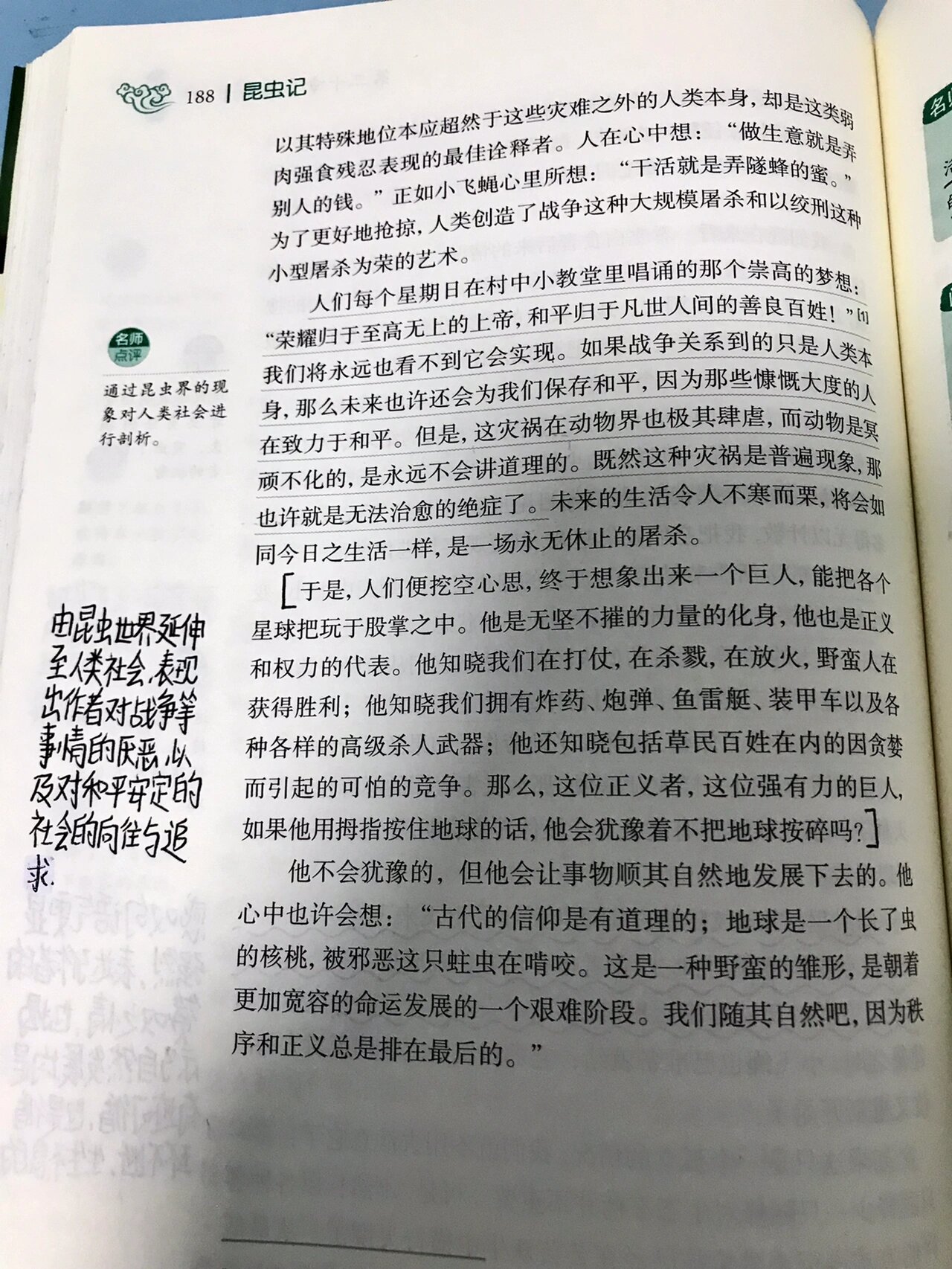 昆虫记隧蜂批注图片图片