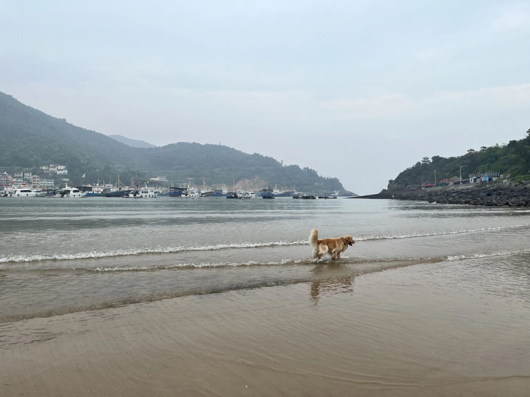 苍南雾城沙滩图片