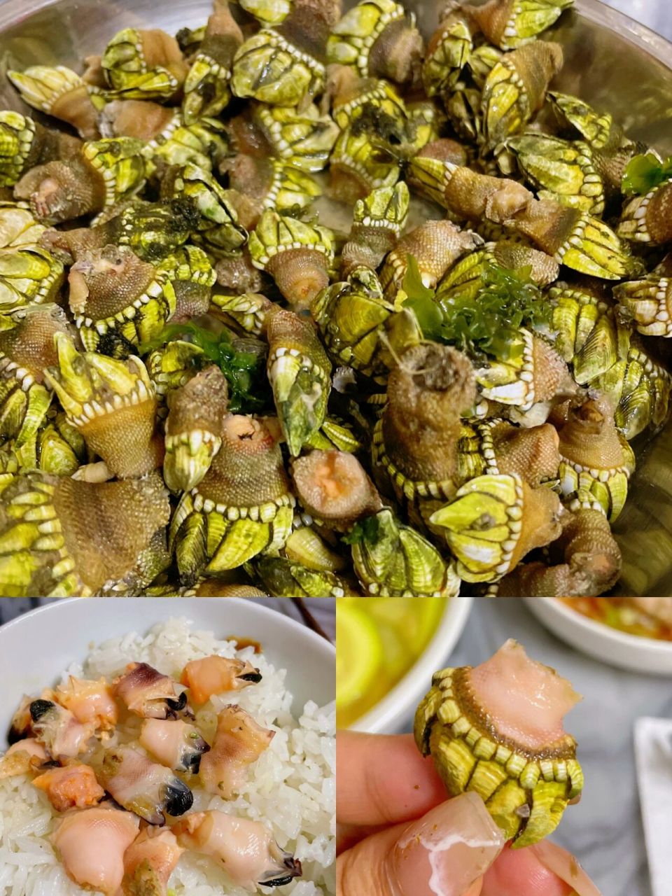 今天菜单,台山川岛特产狗爪螺 又到了一年一度吃狗爪螺的季节, 真的