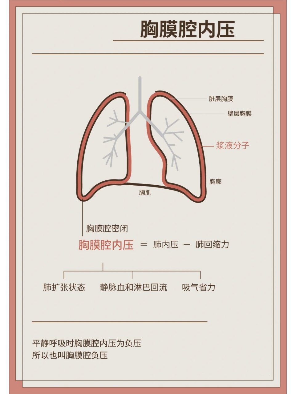 肺通气阻力图片