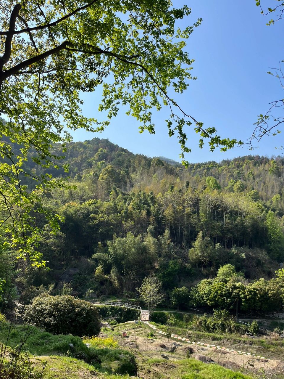 长沙北山森林公园99超有野趣的徒步之旅 01导航:长沙北山森林公园