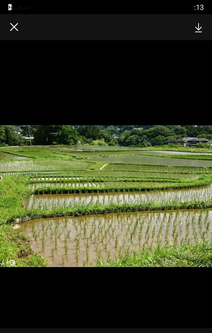 寻找小组生活家 刚刚听了一首老歌《田埂上的梦》,不由得想起小时候