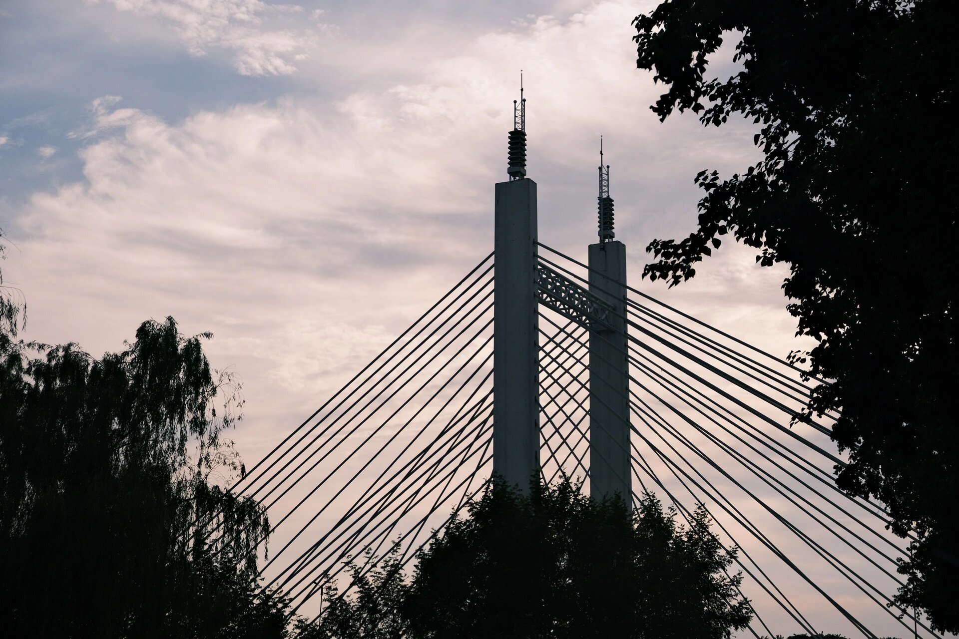 义乌免费拍照打卡地方—江滨公园 这个公园就是无论什么季节都好看的