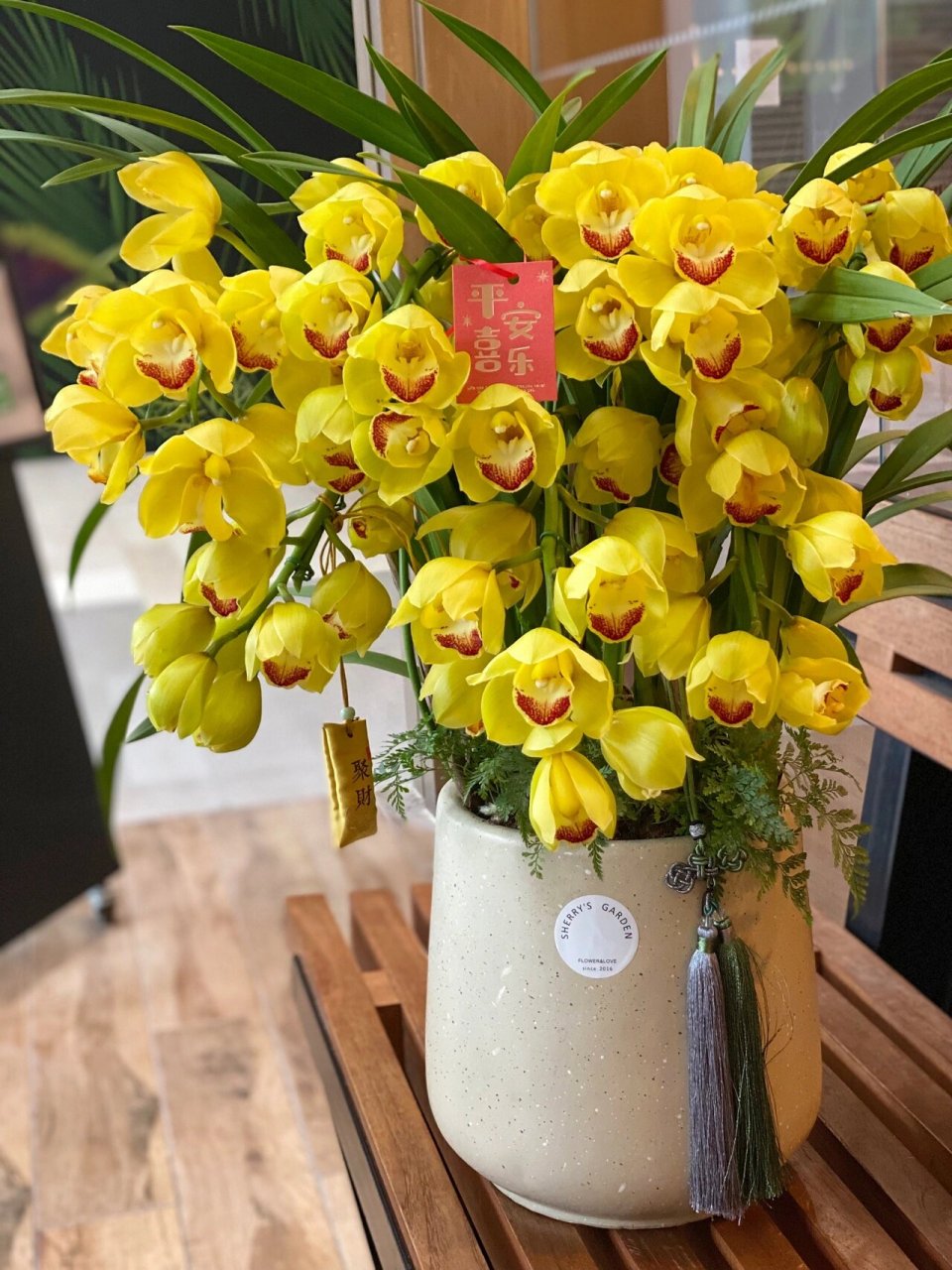年宵花 金玉满堂大花蕙兰盆栽 新年礼物