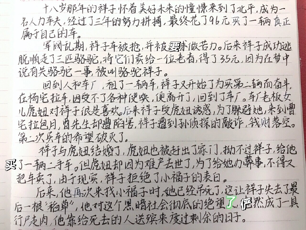 骆驼祥子的小传图片