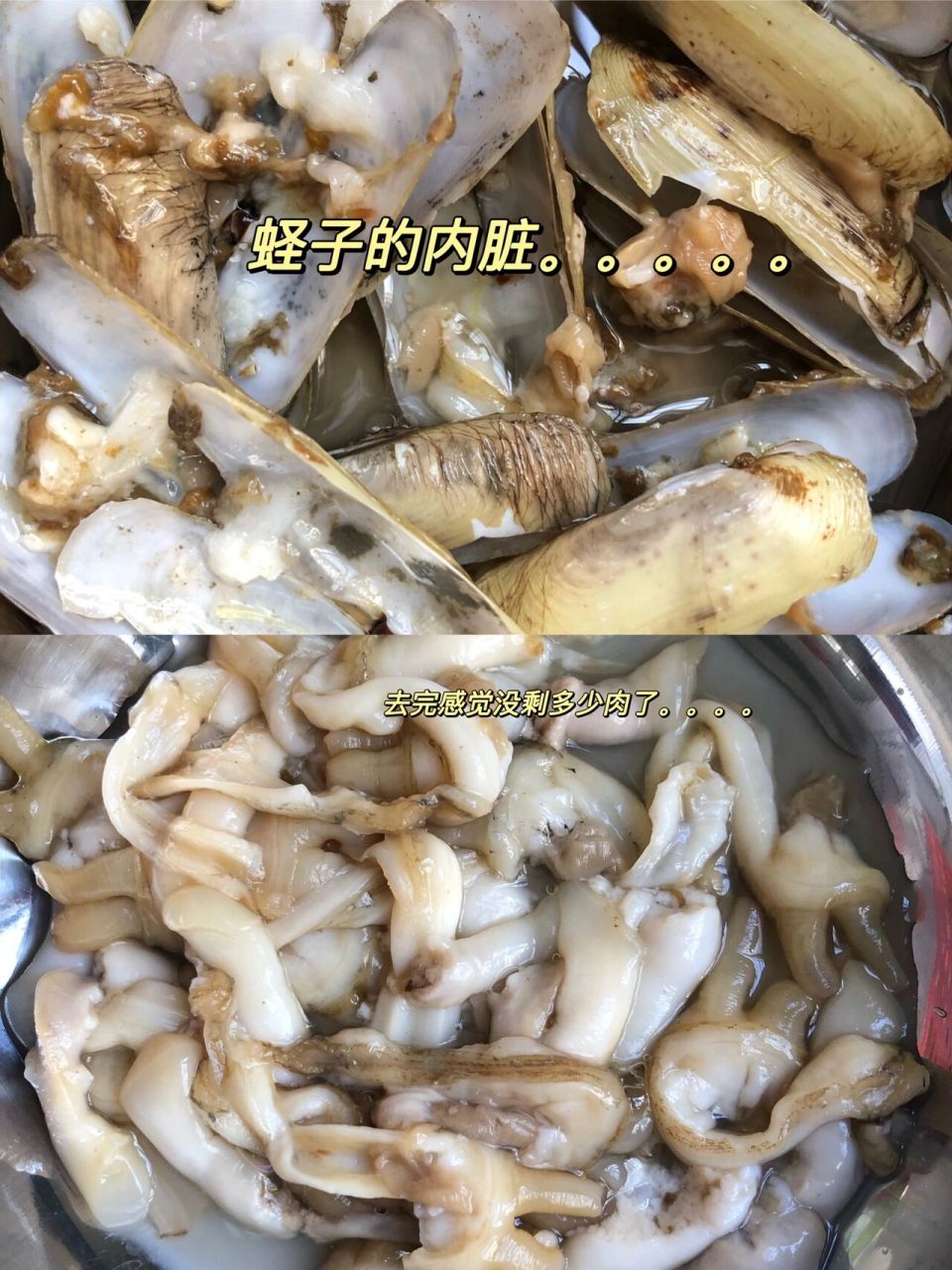 你们吃蛏子不去除黑色内脏吗?