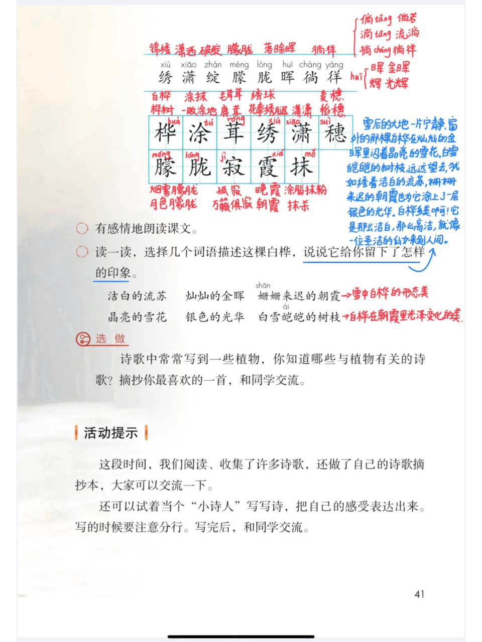 97部编版四年级下11《白桦》课堂笔记 97部编版四年级下11《白桦