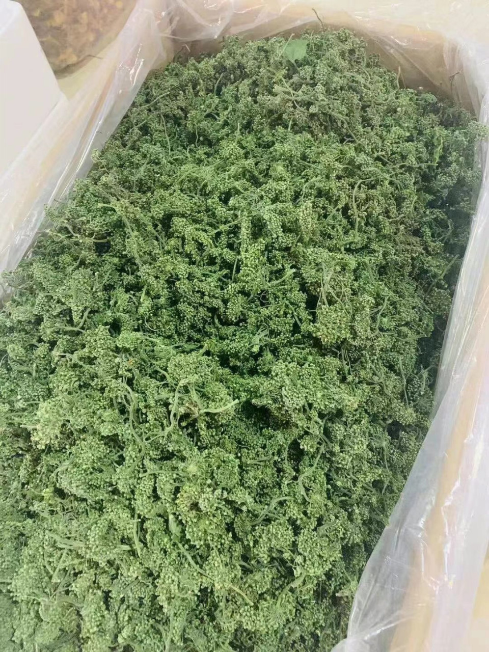 人参花功效作用及吃法 人参花的功效与作用如下: 1,是对心血管系统的