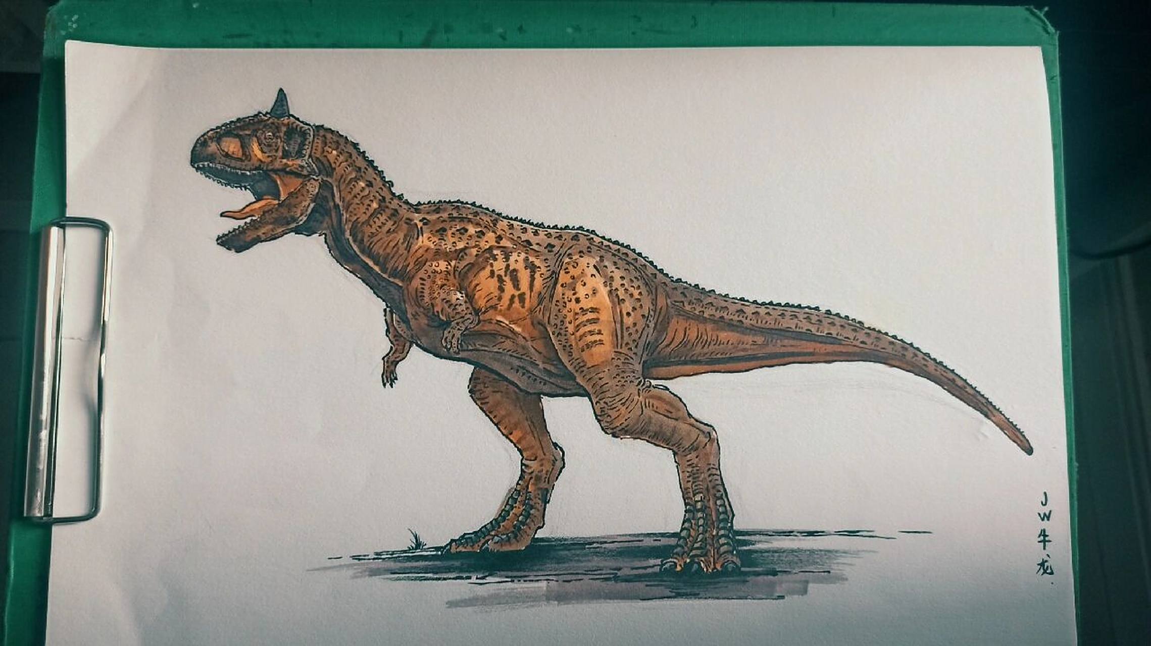 侏罗纪世界食肉牛龙 又优化了一下短手牛牛,没有按照科学复原画就是照