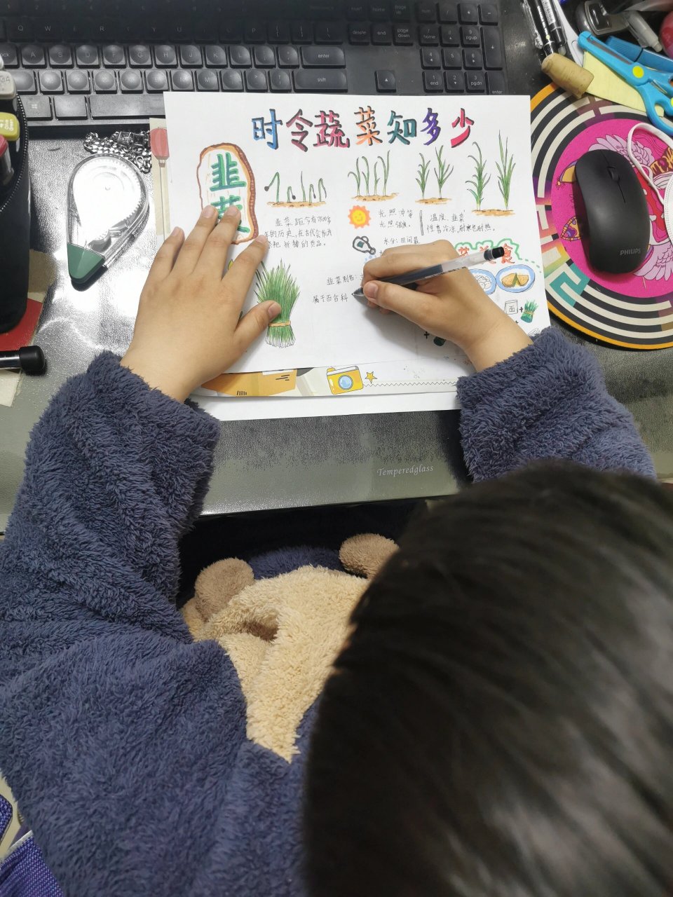时令蔬菜知多少 韭菜 手抄报,新鲜热辣出炉 第一次话韭菜手抄报