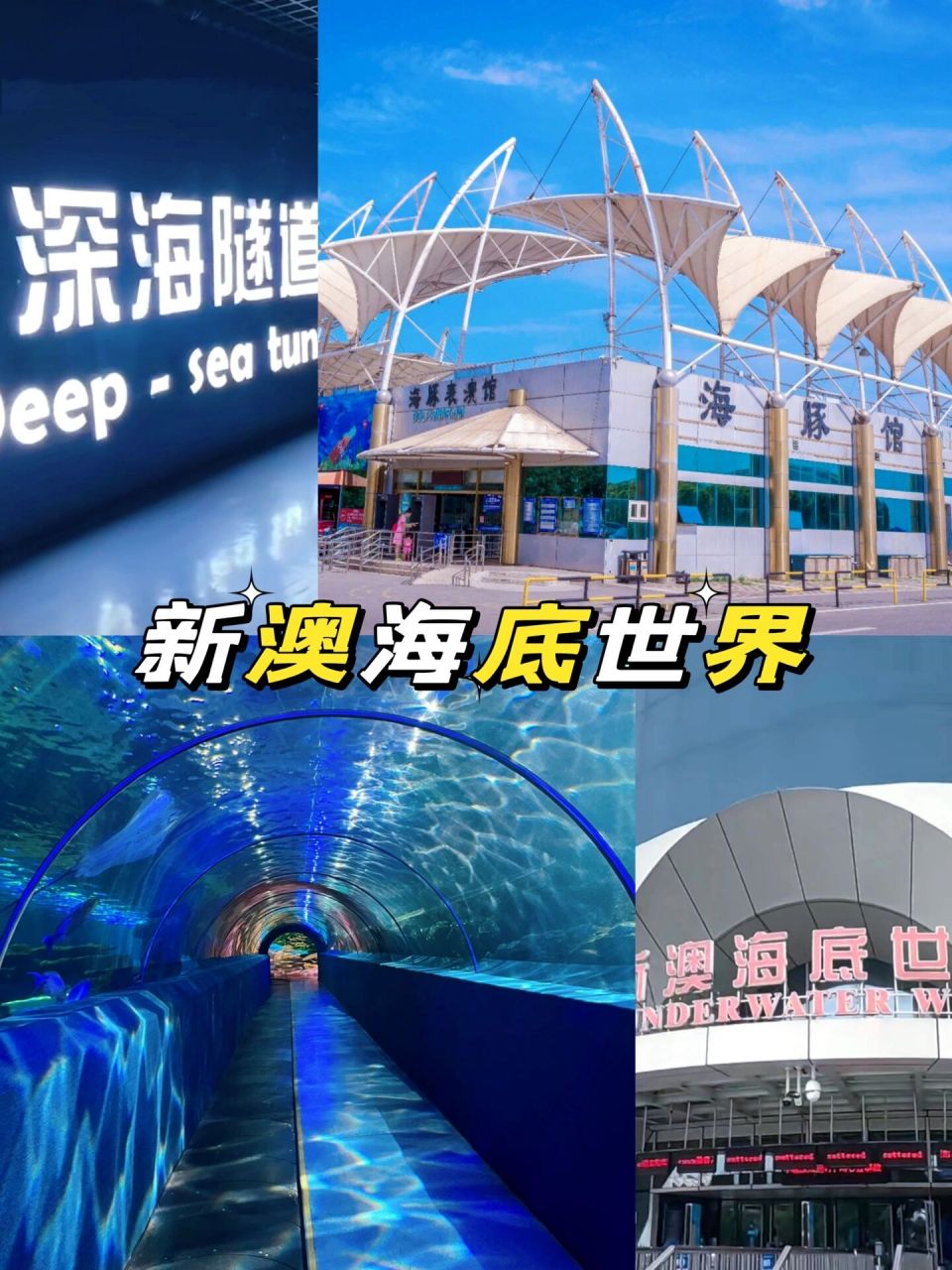 98秦皇岛新澳海底世界/五一好去处 92秦皇岛新澳海底世界 99
