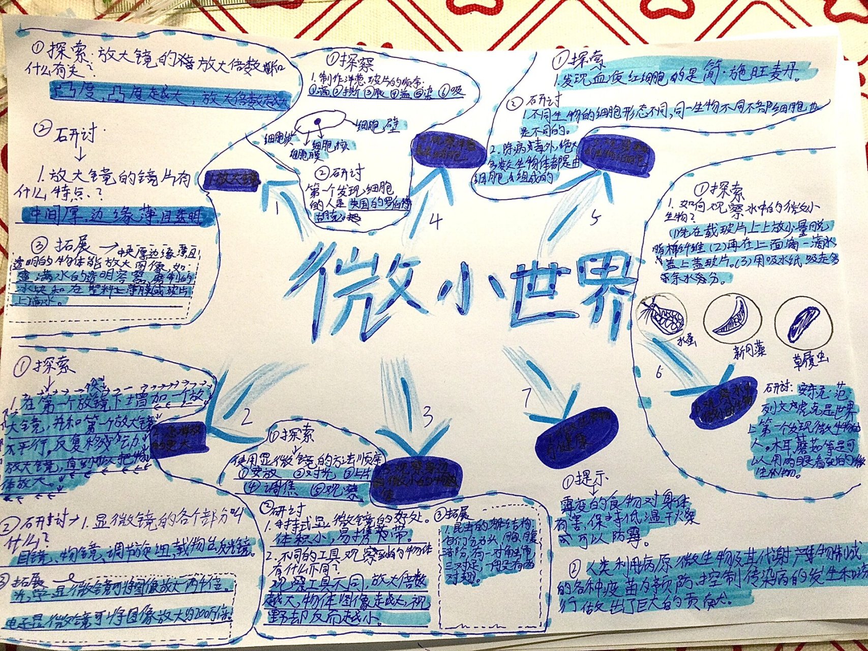 六上科学第一单元《微小世界》思维导图