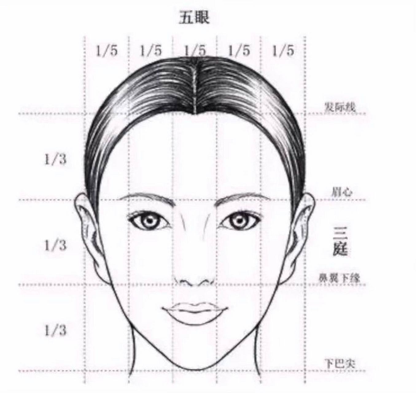 八大风格脸型坐标图图片