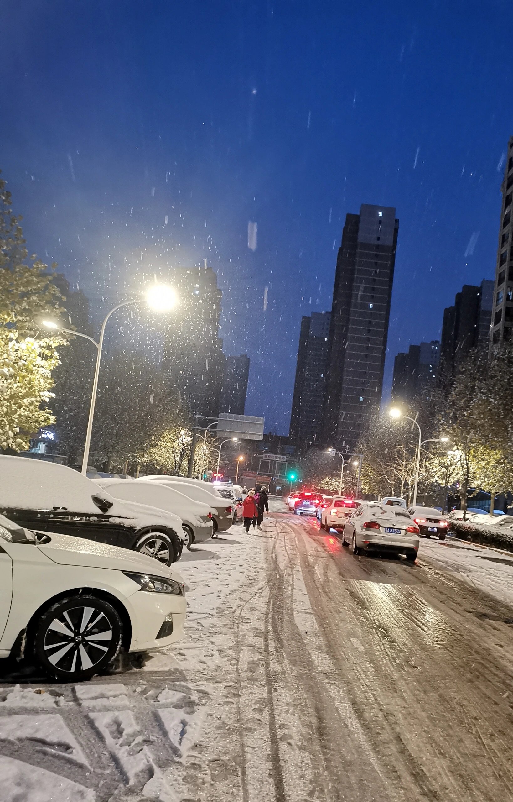 城市下雪天图片大全图片