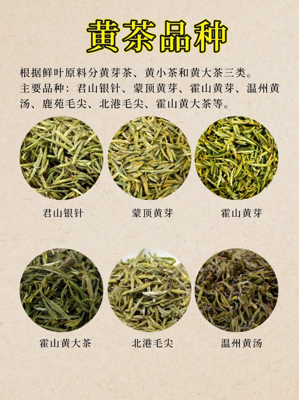黄茶品种介绍 黄茶类属部分发酵茶 (发酵度: 10%).