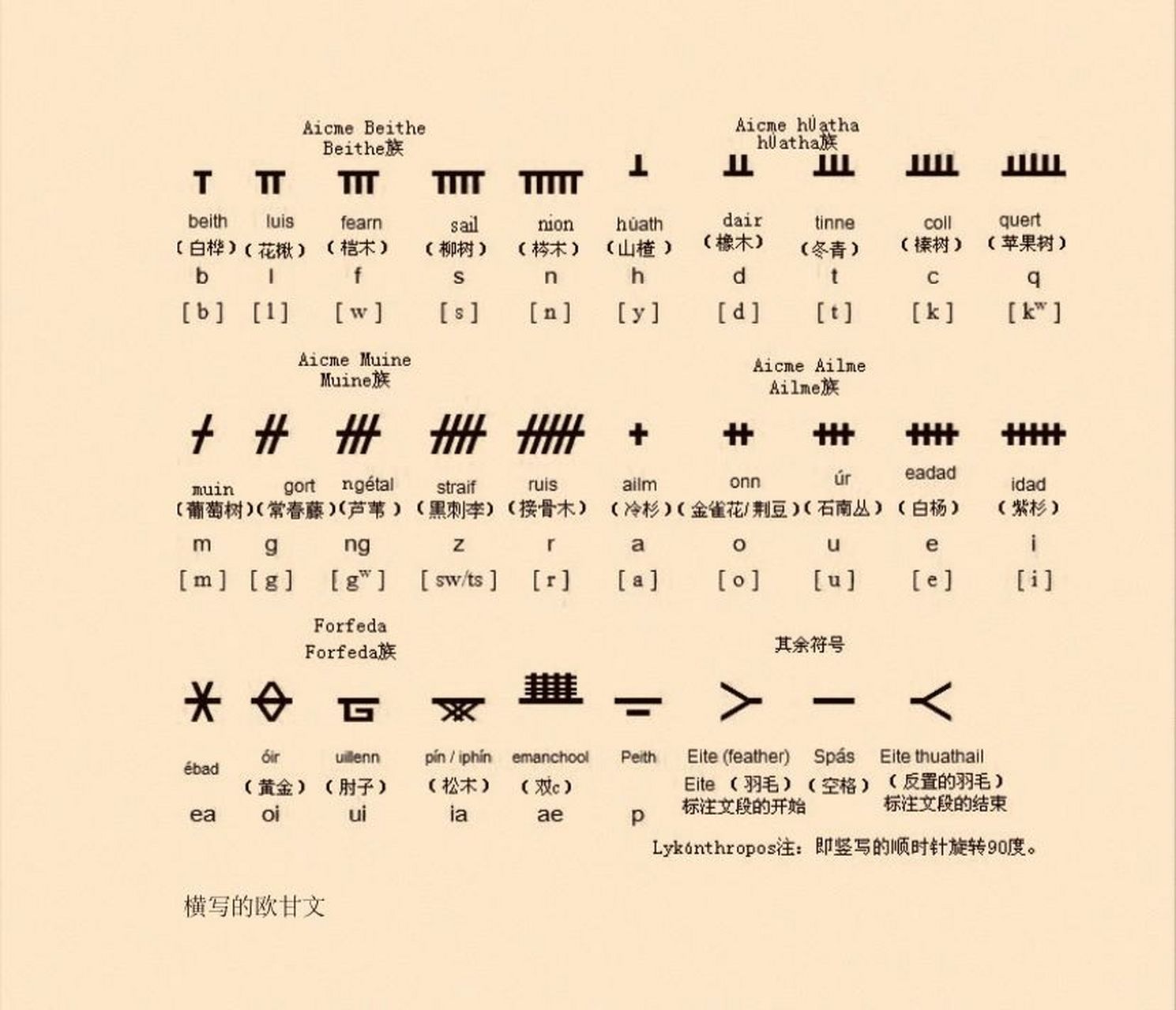 神秘学文字【ogham】 简介: 未被完全破译的古爱尔兰-皮克特语,传说是
