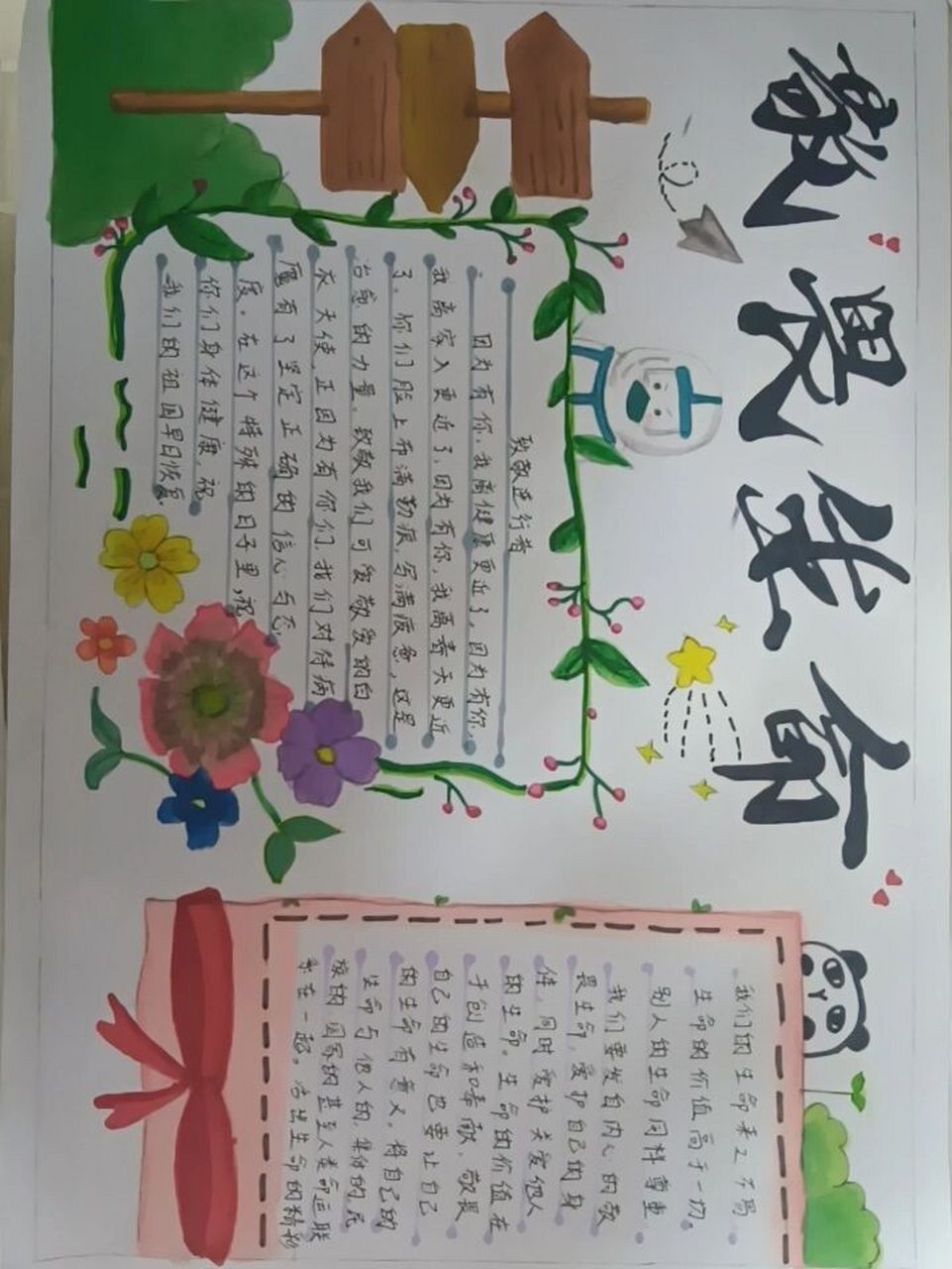 敬畏生命手抄报 字写的丑别在意