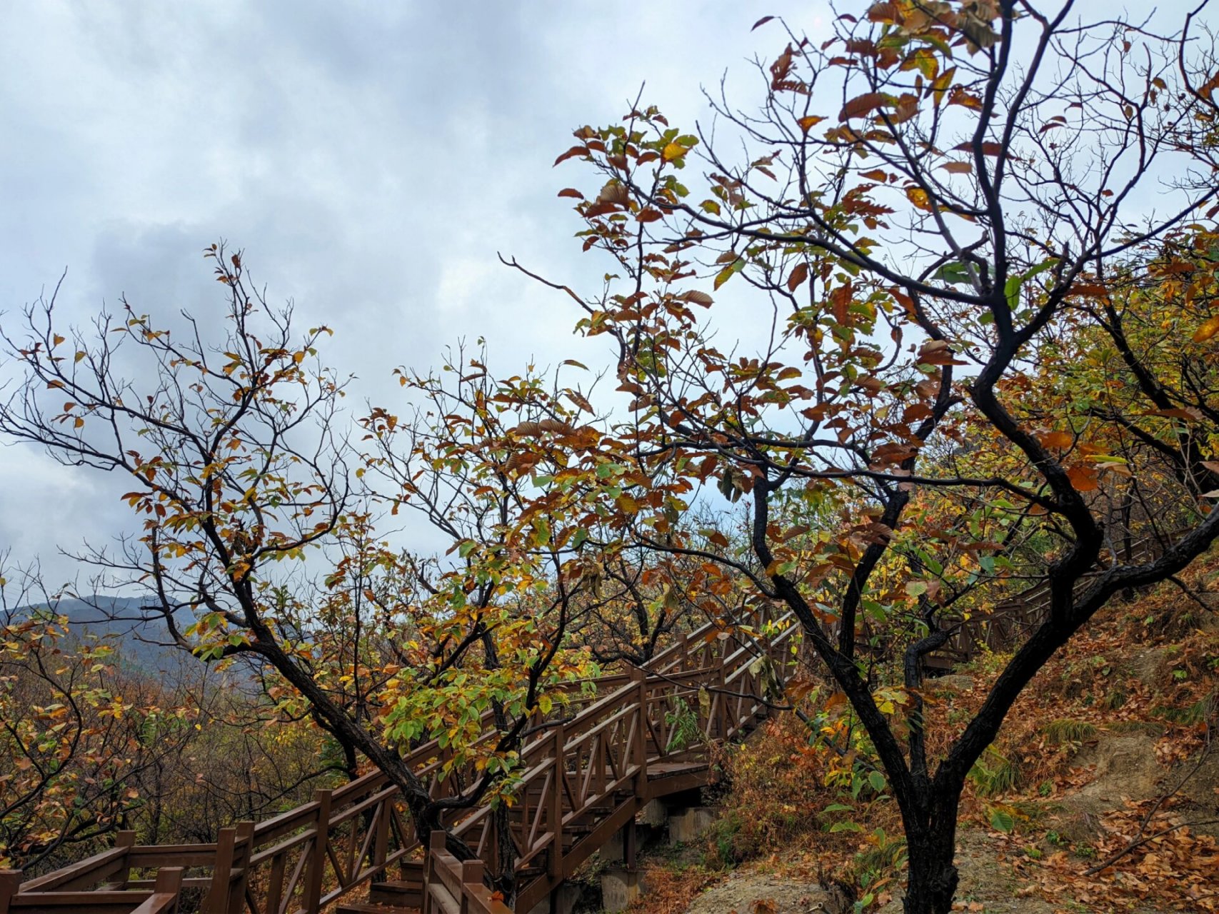 强烈推荐西峪村步道 今天北京下起了下雨,带孩子去西峪村走步道,景色