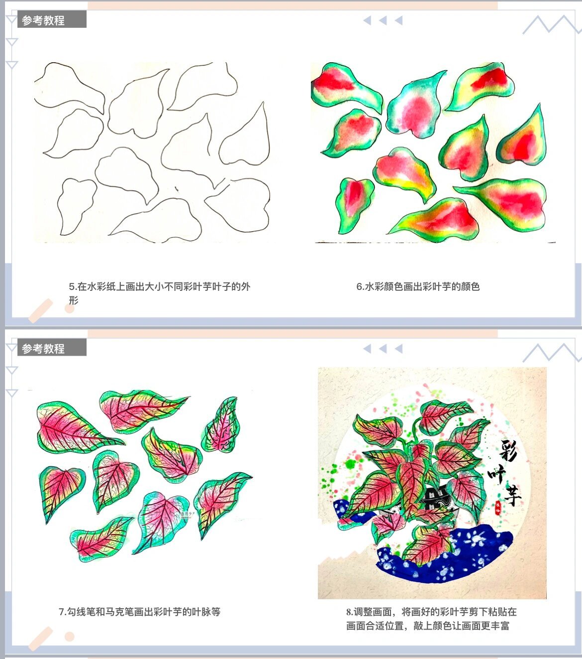 彩叶芋简笔画图片