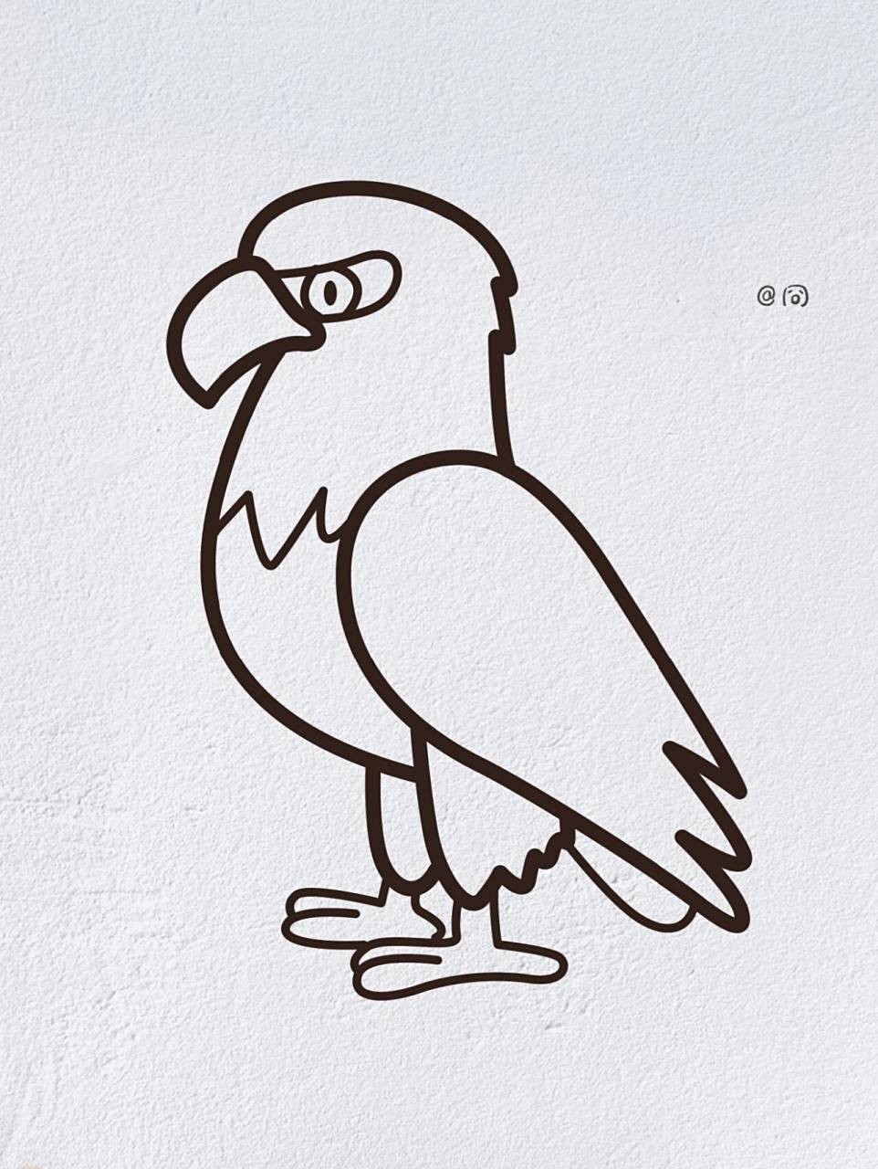 动物简笔画之可爱的鹰(内附过程图)