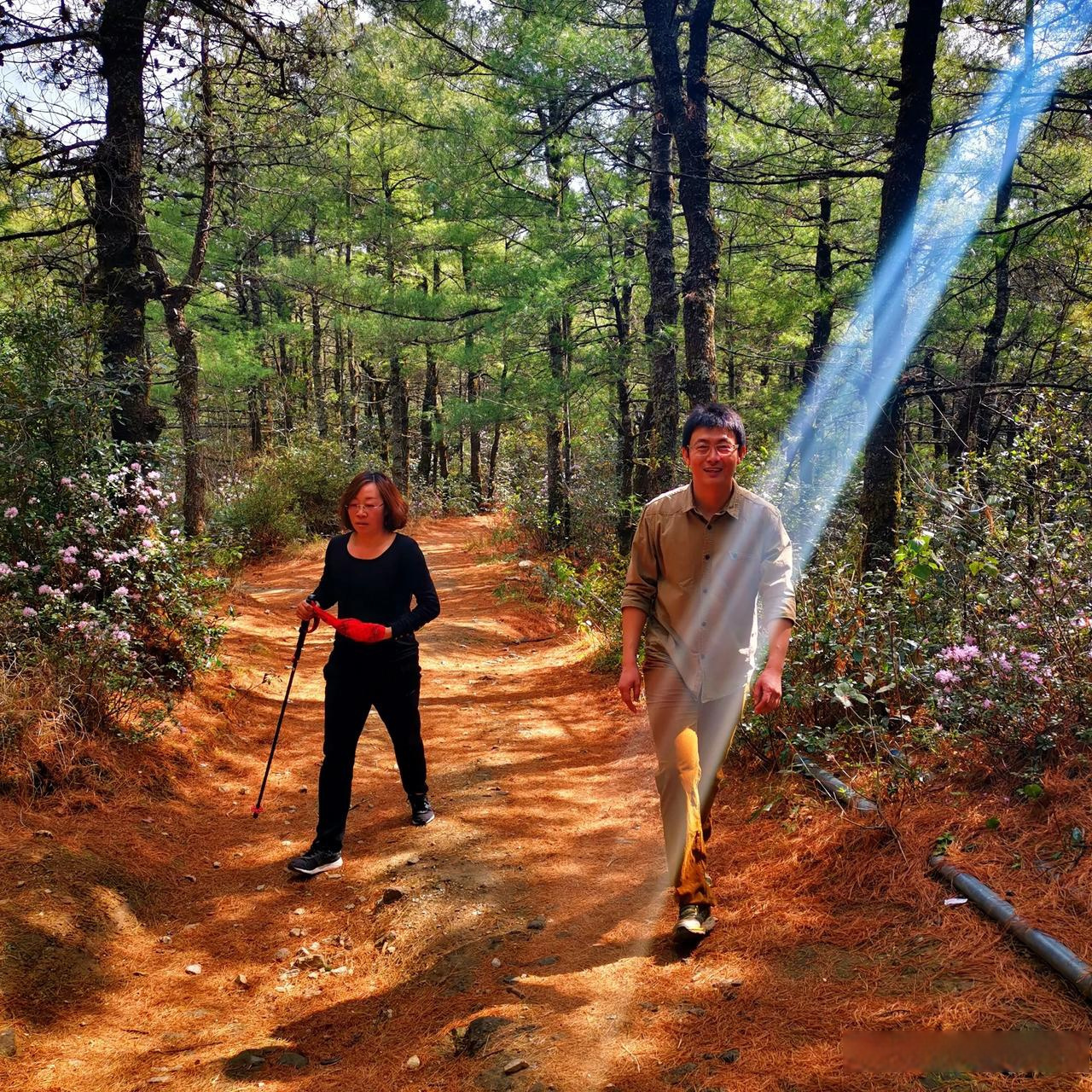 大理苍山波罗寺徒步旅行,这已经是多次去徒步游玩了.