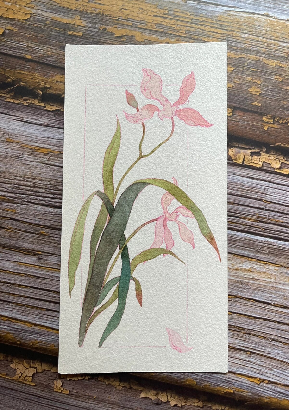 水彩书签～兰花(附过程图) 有小可爱说要看兰花,今天安排画的好不好先